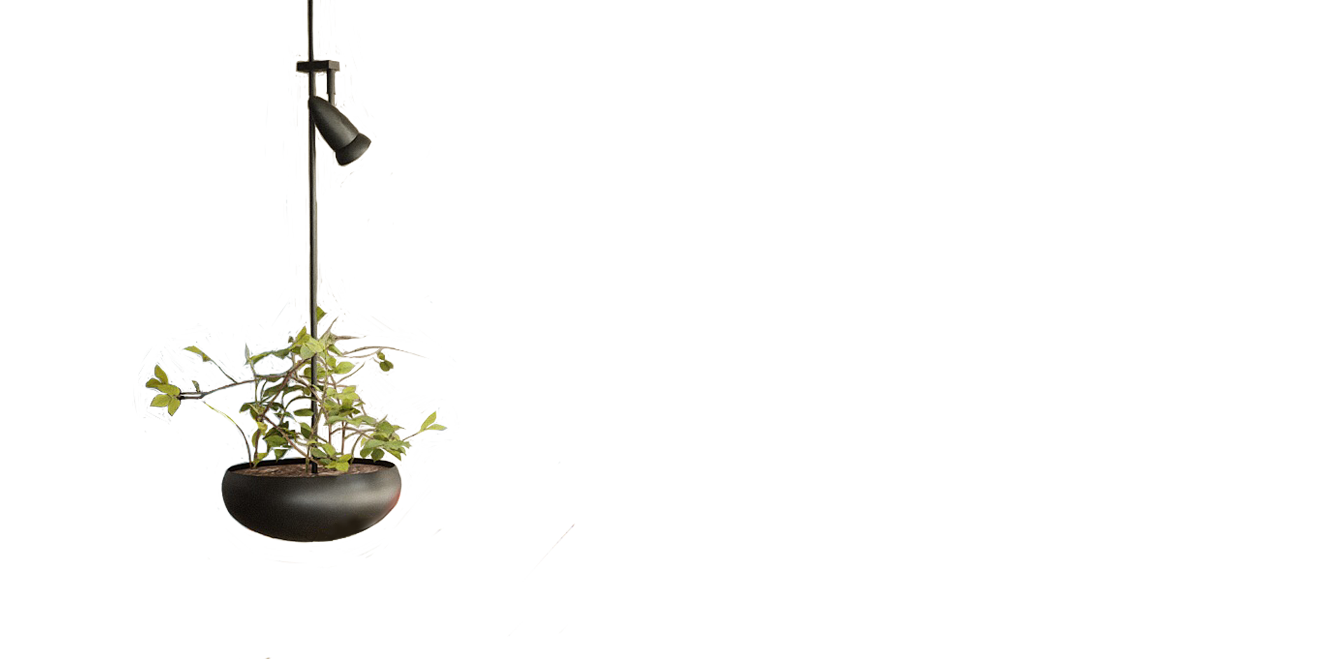 Assaje-layer-2_ Assaje-layer-2_